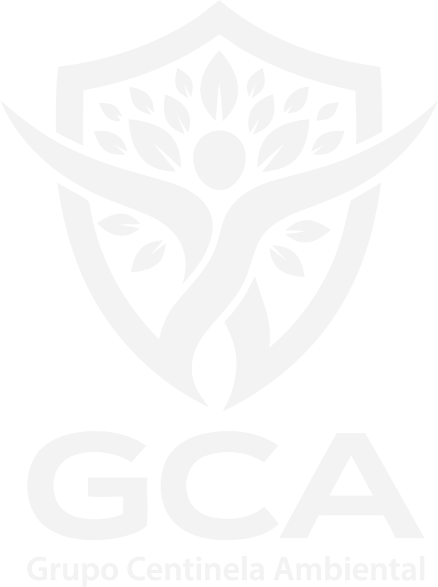 grupocentinelaambiental.com.mx